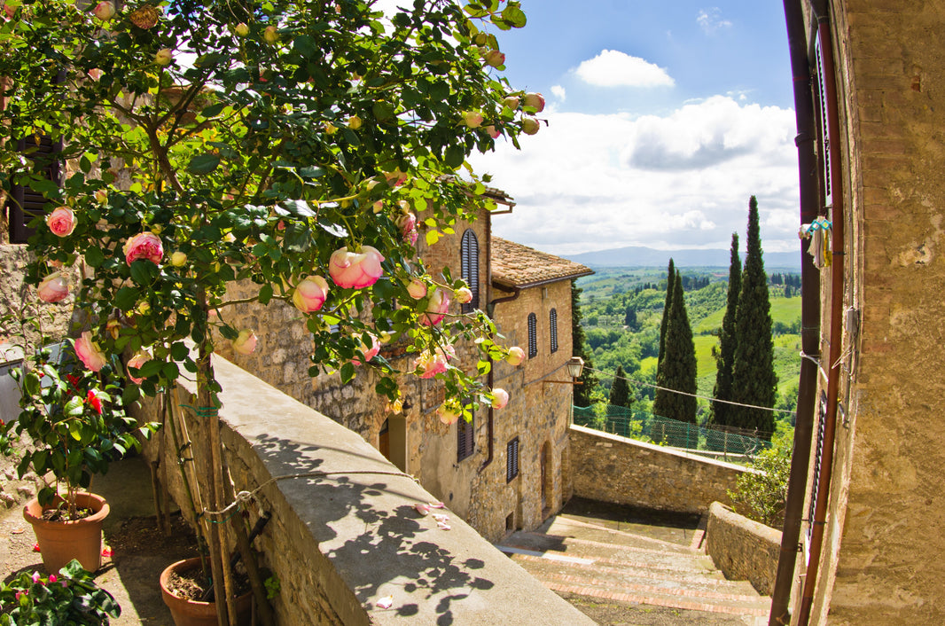 Tuscany: Rolling Hills, Renaissance Heritage & Timeless Flavors